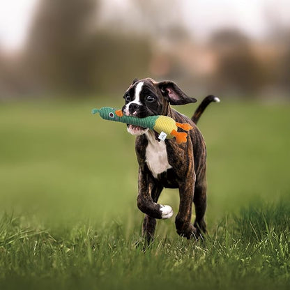 Nocciola 2 in 1 Duck Dog Toy with a Large Rubber Squeaker - Tough Durable Stuffed Squeaky Crinkle Chew Toys for Aggressive Chewers, Medium and Large Breeds