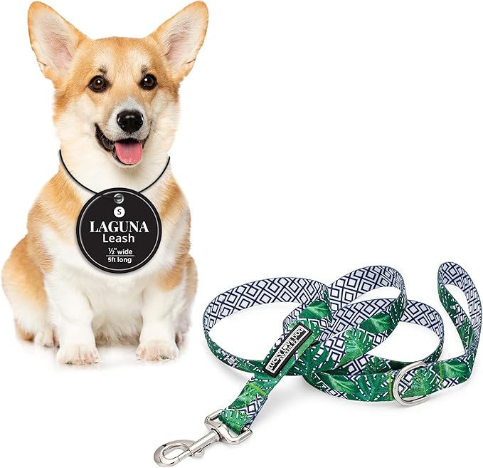 Lucky Love Dog Leash – Soft, Durable, and Comfortable Leash with Vibrant Patterns – Stylish and Long Lasting for Small Male and Female Dogs – Laguna, Small