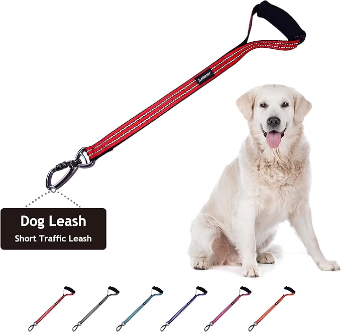 Kruz Dog Leash (Width - 1”, Length - 20 in) Reflective Rope Lead with Soft Silicone Grip, Click & Lock Snap, Durable Nylon Safety Lead with Locking Carabiner Clip & Foam Handle - Red