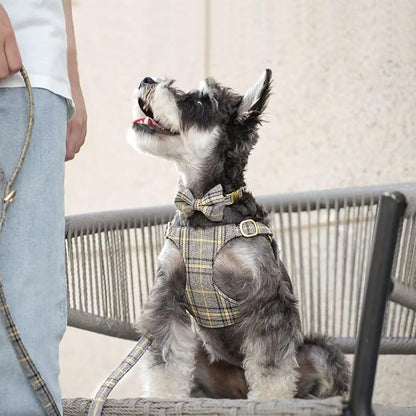 Beirui Cute Extra Small Dog Harness Collar and Leash Set with Bowtie, Soft Adjustable Plaid Puppy Harness for Small Sized Dogs Cats Walks Parties and Photoshoots(Gray,XS:Chest 13-18")