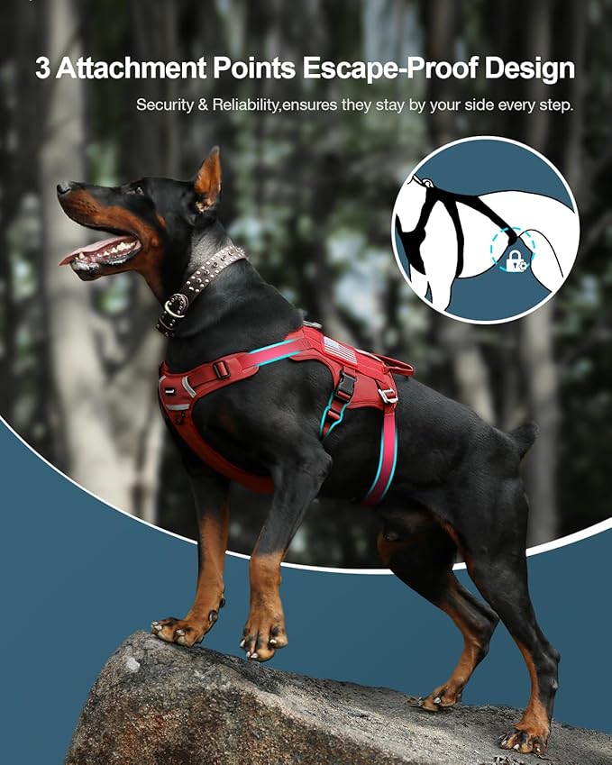 FAYOGOO Tactical Dog Harness for Large Dogs - Dog Harness Escape Proof with Handle - No Pull Military Service Dog Vest with Removable Patches for Walking,Training (Red, L(Chest:27-32"))