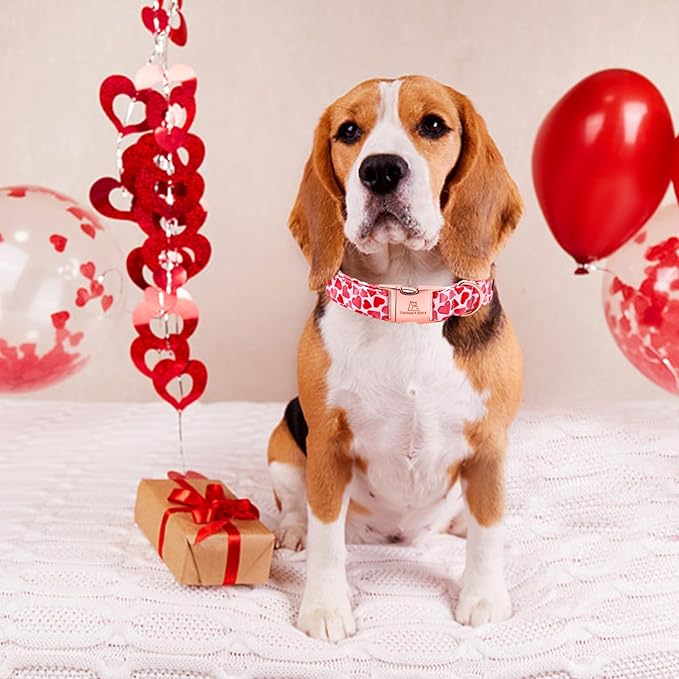 Lionheart glory Valentine Collar, Red Hearts Dog Collar for Medium Cute Dog Collars Spring Female Pet Gift Adjustable Heavy-Duty Dog Collar Holiday