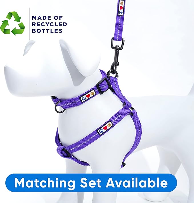 Pawtitas Purple Dog Leash 6 ft M/L Reflective Durable Lightweight Recycled Lead for Medium or Large Dogs and Puppies