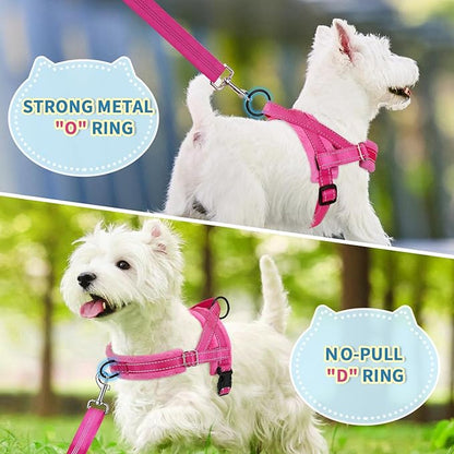 SlowTon No Pull Small Dog Harness and Leash Set, Puppy Soft Vest Harness Neck & Chest Adjustable, Reflective Lightweight Harness & Anti-Twist Pet Lead Combo for Small Medium Dogs (FU, M)