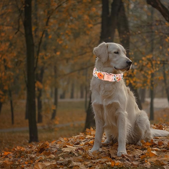 Elegant little tail Fall Dog Collar, Pet Collar Durable Orange Floral Dog Collars Male or Female Holiday Pet Gift Adjustable Dog Collar for Small Dogs