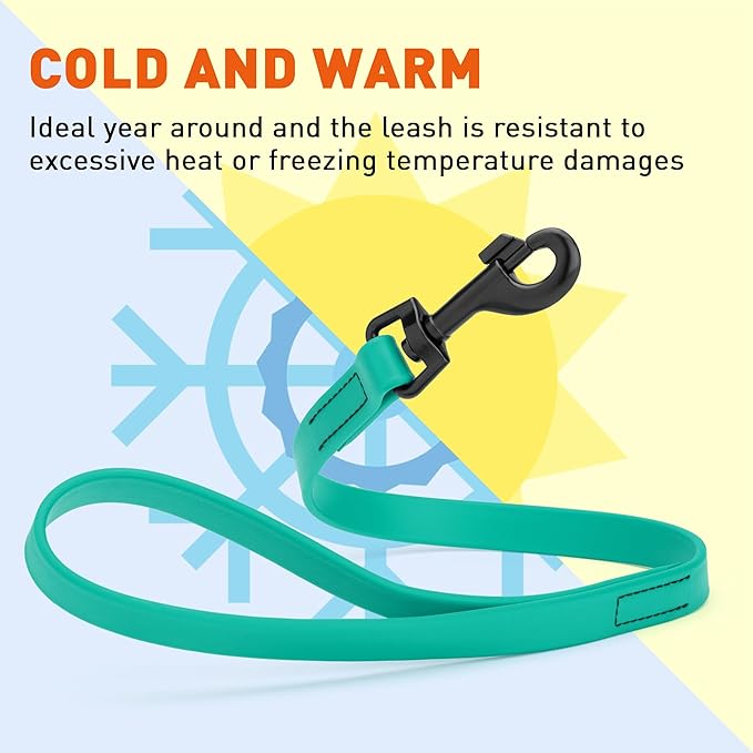 Dogline Biothane Waterproof Dog Leash Strong Coated Nylon Webbing with Black Hardware Odor-Proof Easy to Clean High Performance for Small or Large Dogs Made in USA 2 ft Lead, Teal