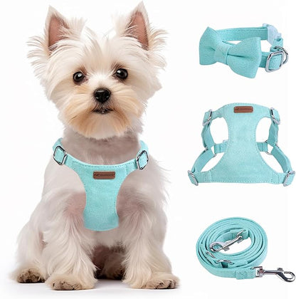 Dog Harness and Leash Set, XXS No Pull Adjustable Puppy Harness with Multifunction Pink Dog Leash and Dog Collar, Soft No Choke Escape Proof Pet Harness Vest for Small Dogs and Cats (Mint Green, XS)
