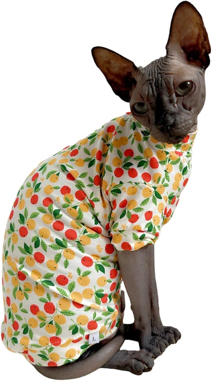 Limited Edition Sphynx Cat T-Shirts Elastic Hairless Cat Sweatshirt Pet Kitten Clothes Round Collar Kitten Shirts Vest Cats & Small Dogs Apparel (Kumquat, M (5.5-6.6 lbs))