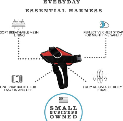 ShawnCo Essential Dog Harness, No-Pull Pet Vest with 3 Leash Clips, No Choke, Reflective, Adjustable and Padded, for Easy Walking and Training for Small, Medium and Large Dogs (Mustang Red, XS)