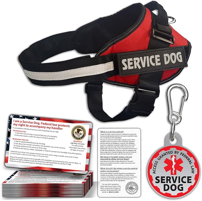 Service Dog Vest + ID Tag 50 ADA Information Cards - Harness w Patch in Sizes X Small to XX Large, Metal has Durable Clip, Animal Cards. ESA Accessory Set