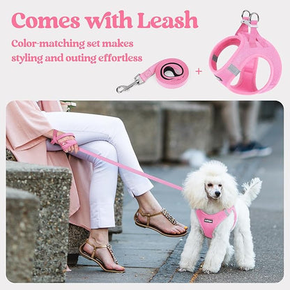 rabbitgoo Dog Harness Small Sized and Leash Set, Step in Soft Light Puppy Vest, Breathable Mesh Pet Harness, Reflective for Safe Easy Walking, Light Pink XXXS
