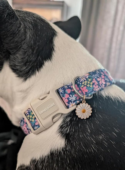 Lionet Paws Floral Dog Collar- Cute Spring Wildflowers Daisy Fleabane Dog Collars with Plastic Buckle,Light Adjustable Dog Collars for Medium Large Dogs