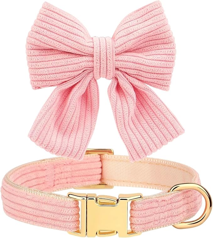 Didog Cute Dog Collar and Leash Set with Bowtie, Girl Dog Collars Metal Buckle Adjustable for Small Medium Dogs(Pink, S)