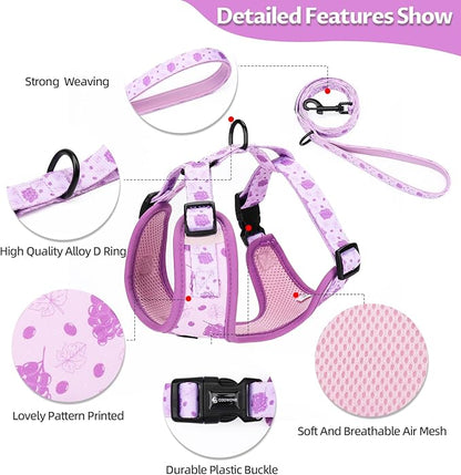 Dog Harness and Leash Set, Adjustable Dog Harness, Dog Leash, No Pull No Choke Puppy Harnesses for Walking Training for Small Medium Pet (Wines, S(Chest 13-19", Neck 9.5-13.1"))