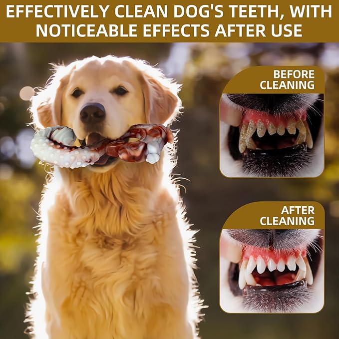 Indestructible Dog Toys for Aggressive Chewers, Tough and Durable Chew Toys for Large Medium Dogs, Interactive Dog Chew Toys to Keep Them Busy (F Squirrel+Crab)