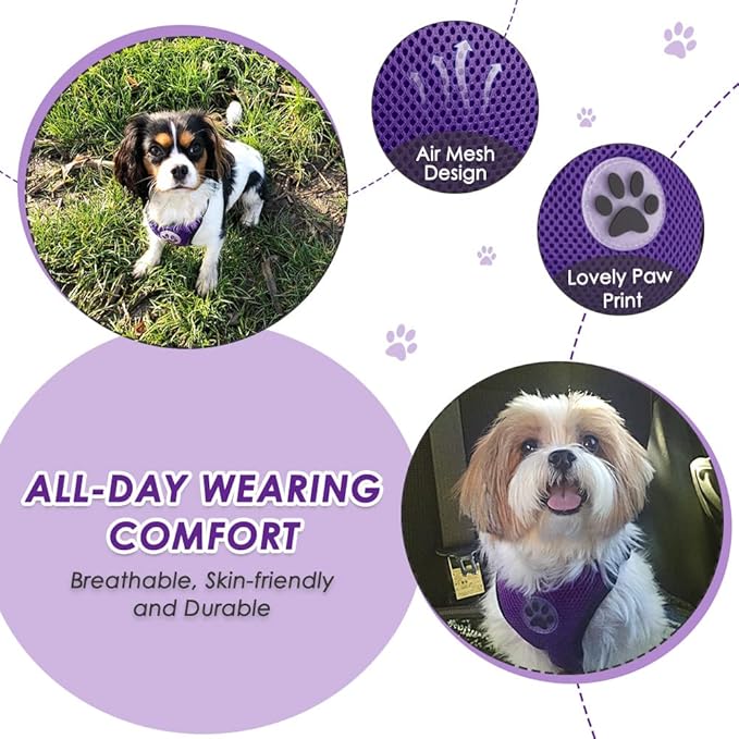 Lukovee Dog Seat Belt for Car, Adjustable Dog Car Harness for Large Medium Small Dogs, Soft Padded & Breathable Mesh Dog Seatbelt with Car Vehicle Connector Strap (Purple Double Clip,Large)