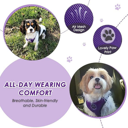 Lukovee Dog Seat Belt for Car, Adjustable Dog Car Harness for Large Medium Small Dogs, Soft Padded & Breathable Mesh Dog Seatbelt with Car Vehicle Connector Strap (Purple Double Clip,Large)