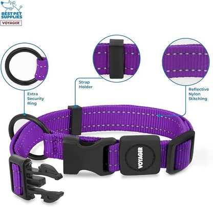 Best Pet Supplies Voyager Reflective Dog Leash or Collar with Neoprene Handle, for Small, Medium, and Large Breed Puppies, Cute and Heavy Duty for Walking, Running and Training - Purple, L
