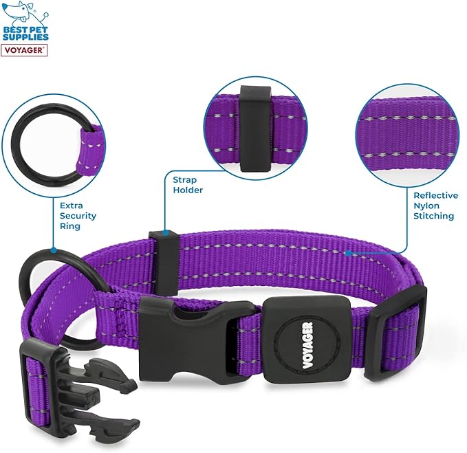 Best Pet Supplies Voyager Reflective Dog Leash or Collar with Neoprene Handle, for Small, Medium, and Large Breed Puppies, Cute and Heavy Duty for Walking, Running and Training - Purple, S