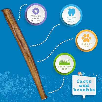 Jack&Pup 12 Inch Bully Sticks for Large Dogs | Jumbo Odor Free Bully Sticks Long Lasting | All Natural, 100% Beef Sticks (Jumbo, 1 Pack)