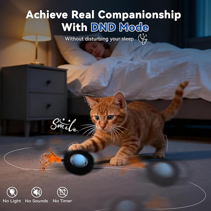 KiwiLove Interactive Cat Toy with Motion Activated Ball & 7-Hole Play Mat, Hide and Seek Exercise Game for Indoor Cats, Automatic Moving Cat Ball in Pouch, Rechargeable Kitten Toys