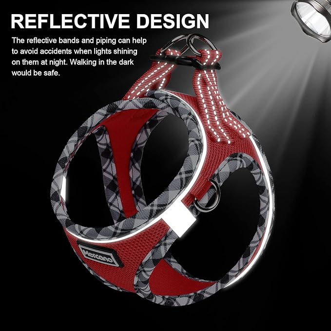 Mercano Soft Mesh Dog Harness and Leash Set, No-Chock Step-in Reflective Breathable Lightweight Easy Walk Vest Harnesses with Safety Buckle for Small Dogs, Cats (Red, L)