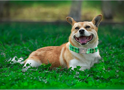 Lionheart Glory St. Patrick's Day Collar, Green Plaid Pink Collar for Medium Dogs - Adjustable Heavy-Duty Pet Gift