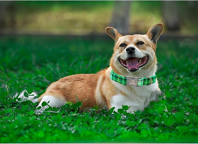 Lionheart Glory St. Patrick's Day Collar - Green Plaid, Adjustable Heavy-Duty Collar for Small Dogs