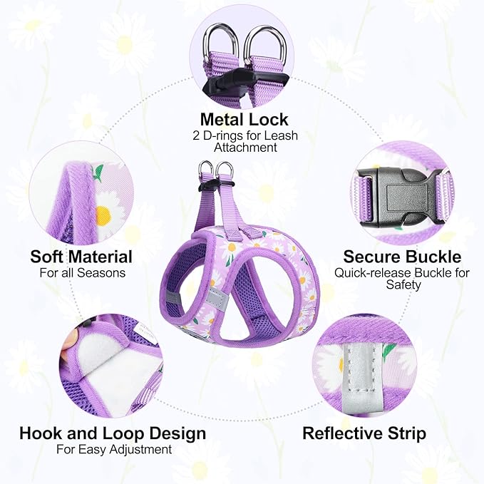 BEAUTYZOO Step in Dog Harness and Leash Set, Floral Pattern Reflective Dog Harness No Pull No Choke Puppy Harness for XXS XS S Dogs Cats, Soft Padded Mesh Vest Harnesses for Girl and Boy Pets