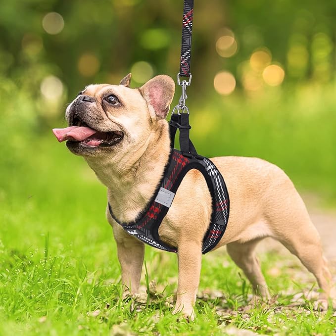 PUPTECK Dog Harness and Leash Set for Small Medium Dogs No Pull Step-in Soft Mesh Puppy Cat Vest Harnesses Reflective at Night, Plaid Pattern Black S