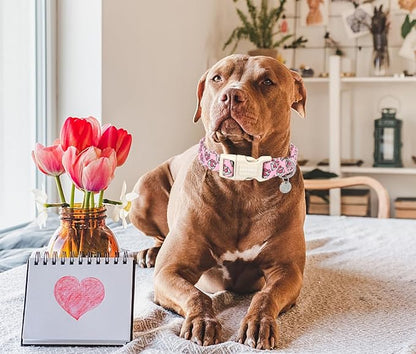 DOGWONG Valentine's Dog Collar, Love Letter Dog Collar, Adjustable Durable Pink Heart Collar for Small Medium Dogs
