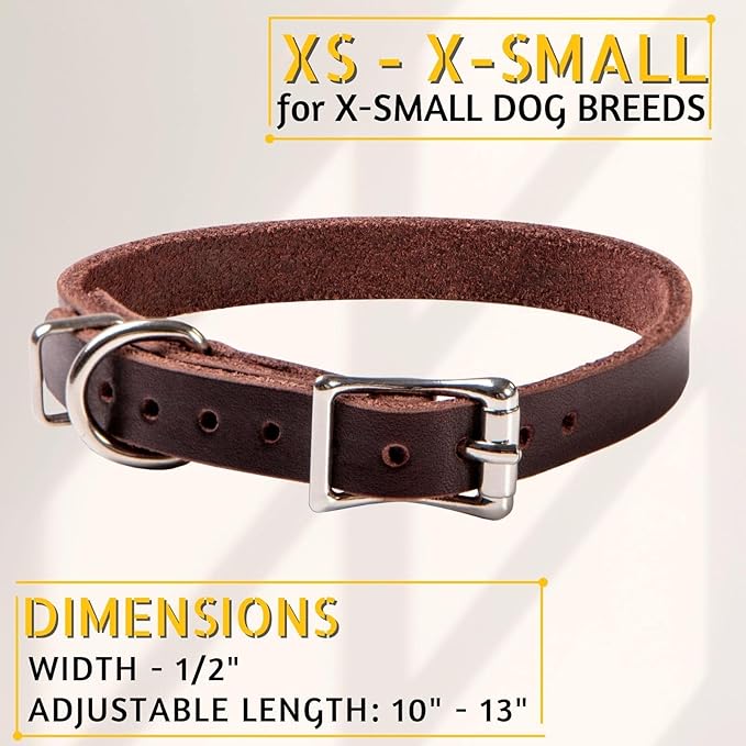 ADITYNA Extra-Small Leather Dog Collar for XS Dogs - Classic, Soft, Strong, Heavy Duty, Handmade Top-Grain Leather - for Walking, Training, and Hiking