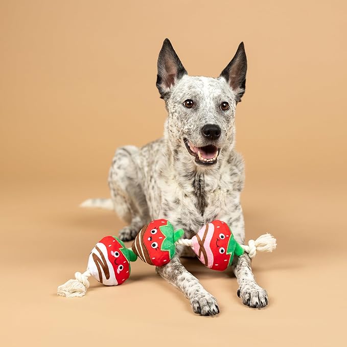Fringe Studio Plush Dog Toy with Rope, Covered with Love, Petshop Collection (314495)