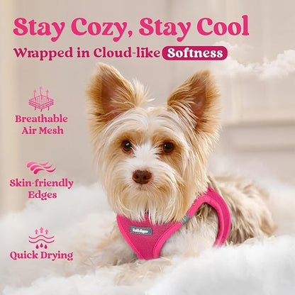 rabbitgoo Small Dog Harness, Step-in Soft Mesh Puppy Vest with Safety Buckle, Breathable Reflective Pet Harness for Small Medium Dogs, Rose Red L