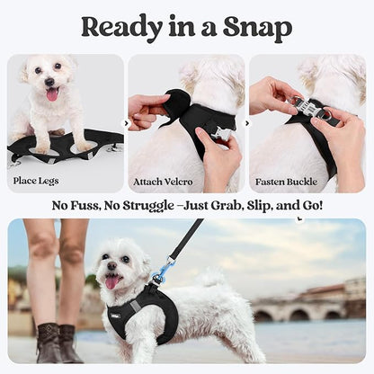 rabbitgoo Dog Harness Small Medium Sized and Leash Set, Step in Soft Light Puppy Vest, Breathable Mesh Pet Harness, Reflective for Safe Easy Walking, Black L