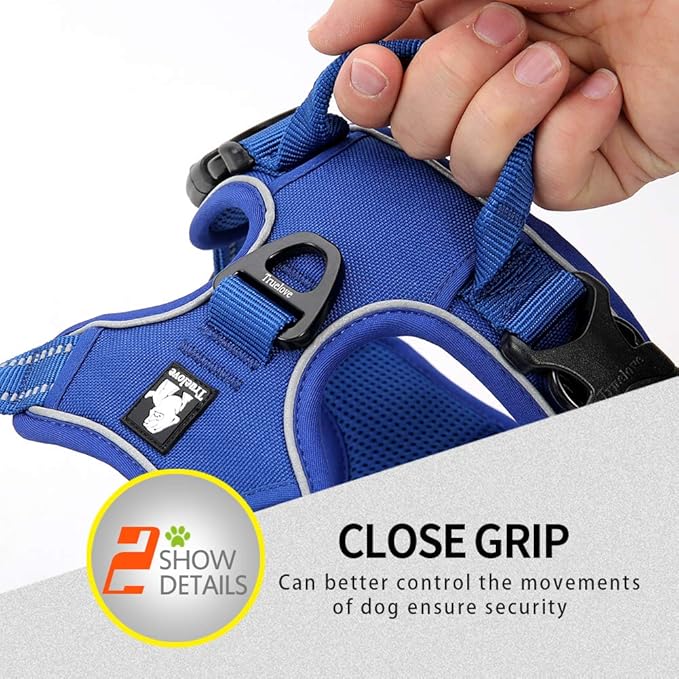 JUXZH Truelove No Pull Dog Harness with Easy Control Handle and 2 Leash Attachments,Reflective Adjustable Pet Vest