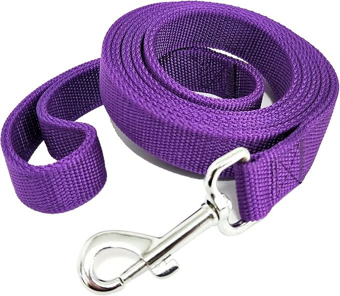 Strong Nylon Dog Leash with 2-Layer, 4 FT/ 6 Feet Long, 1 Inch Wide for Medium Large Dogs (1'' x 5 FT, Purple)