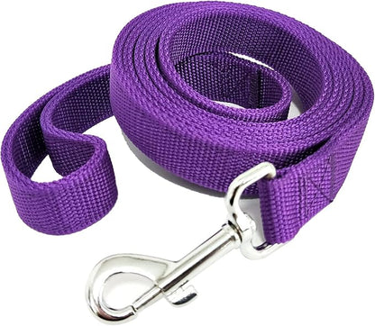 Strong Nylon Dog Leash with 2-Layer, 4 FT/ 6 Feet Long, 1 Inch Wide for Medium Large Dogs (1'' x 5 FT, Purple)