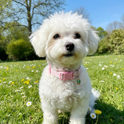 Cute Dog Collar, Pink Dog Collar with Pink Ghost Pattern and Soft Fabric, Girly Collar with Charm and Buckle, Adjustable for Girls Boys Dogs