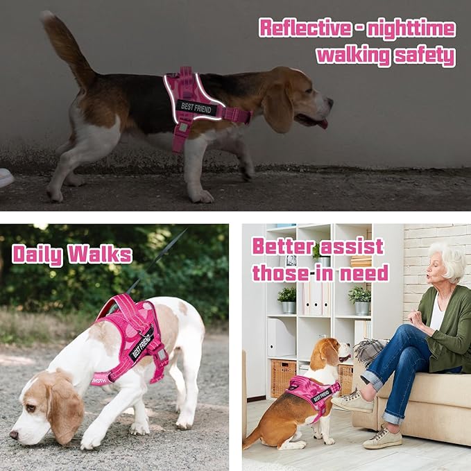 AUROTH Dog Harness and Leash Set, Soft Padded Dog Vest with 5.25FT Dog Leash, No Choke, Easy On Pet Vest, Adjustable Reflective No Pull Dog Harness for Large Dogs, Easy Walking and Training