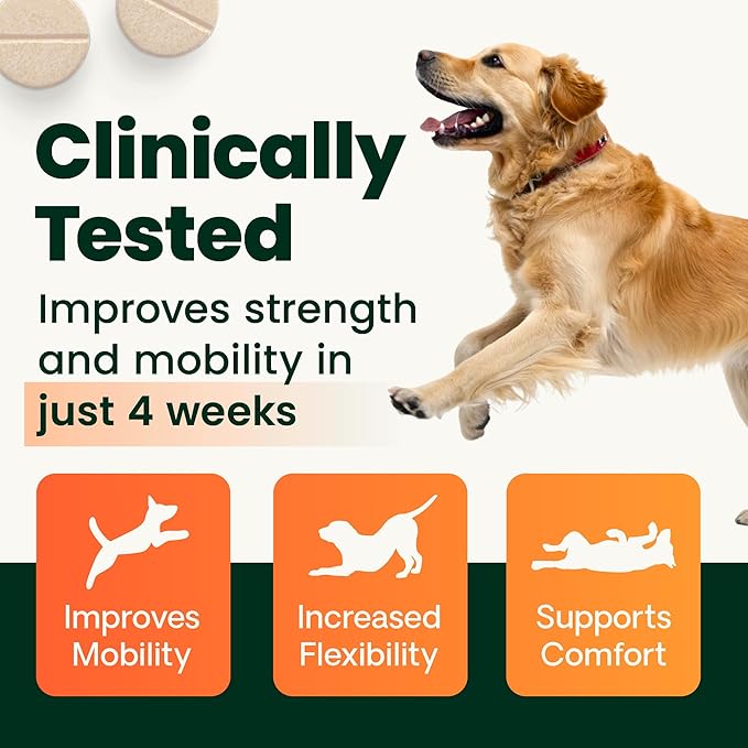 VetriScience Extra Strength Healthy Hip & Joint Chewable Tablets, GlycoFlex Glucosamine and Green-Lipped Mussel Joint Support Supplement for Dogs, Soothe Joint Discomfort, Chicken, 120 Count