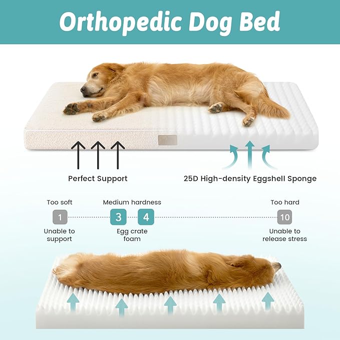 COZY KISS Big Dog Bed for Giant Dogs, Rectangular XXL Orthopedic Dog Beds Extra Large, Foam Anti-Slip Bottom Pet Mat with Washable Removable Cover, Suitable for Pet Up to 150 lbs, 54x44x4 inch, Beige