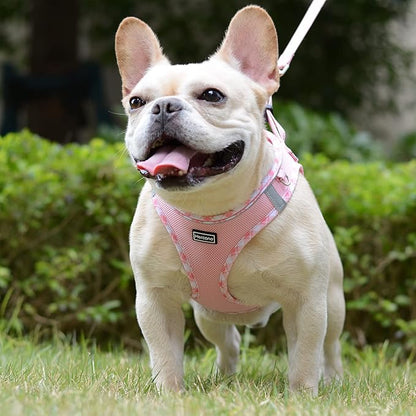 Mercano Soft Mesh Dog Harness and Leash Set, No-Chock Step-in Reflective Breathable Lightweight Easy Walk Vest Harnesses with Safety Buckle for Small Dogs, Cats (Pink, XS)