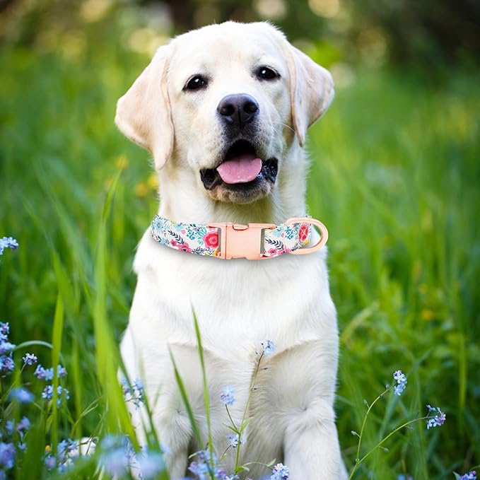 Dog Collar and Leash Set Girls Adjustable Puppy Collars with Floral Bow Tie for Small Medium Large Female Dogs, Teal Flower, XS