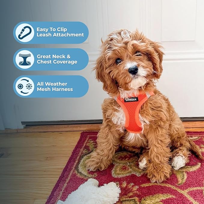 Best Pet Supplies Voyager Step-in Air Harness - All Weather Mesh, Reflective, No Pull Harness for Dogs, Cats - Secure with Hook & Loop Fastener, Buckle, Double D-Rings - Orange, L