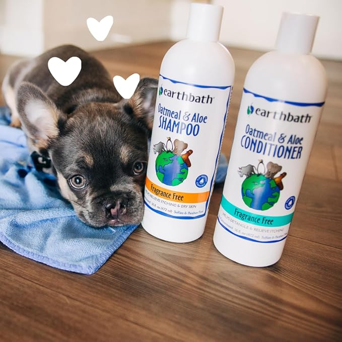 earthbath, Oatmeal & Aloe Conditioner - Dog Conditioner for Allergies & Itching, Dry Skin, Helps Relieve Itching, Made in USA, Cruelty Free Pet Conditioners, Fragrance Free Dog Wash - 16 Oz (1 Pack)