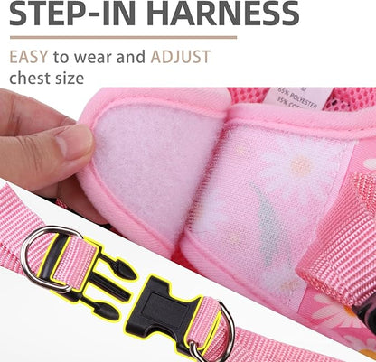 PUPTECK Dog Harness and Leash Set for Small Medium Dogs No Pull Step-in Soft Mesh Puppy Cat Vest Harnesses Reflective at Night, Pink Floral, M