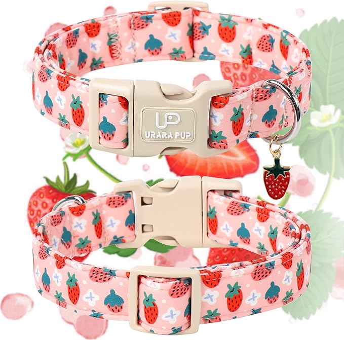 UP URARA PUP Dog Collar-Summer Puppy Collars-Adjustable Strawberry Pet Collar for Small,Medium,Large Dogs-Durable & Cute Design