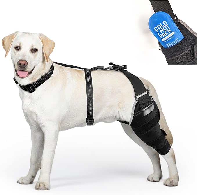 Dog ACL Brace Hind Leg – Breathable Adjustable Rear Leg Brace with Hot/Cold Compress Gel Pack for Arthritis, Swelling & Joint Pain Relief, Left Leg, Size M