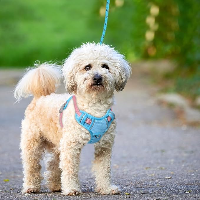 BARKBAY No Pull Dog Harness Large Reflective Dog Harness with Front Clip and Easy Control Handle for Walking Training Running with ID tag Pocket(Baby Blue & Baby Pink,S)